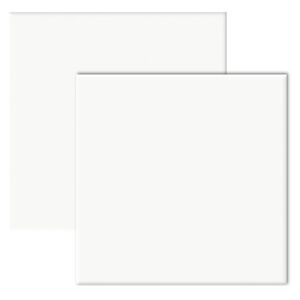 Revestimento Cer&acirc;mico Brilhante para Fachada Borda Bold 20x20cm Branco Ceral (Caixa com 1,69m&sup2;)