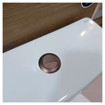 Bot&atilde;o Duplo Acionamento Corten Deca