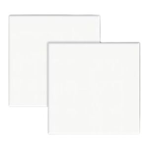 Revestimento Cer&acirc;mico Acetinado para Fachada Borda Bold 15x15cm White Ceral (Caixa com 1,00m&sup2;)