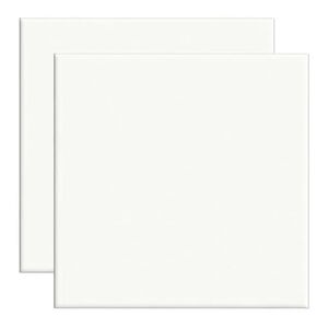 Revestimento Cer&acirc;mica Brilhante 15x15cm Branco Ceral  (Caixa com 1,00m&sup2;)